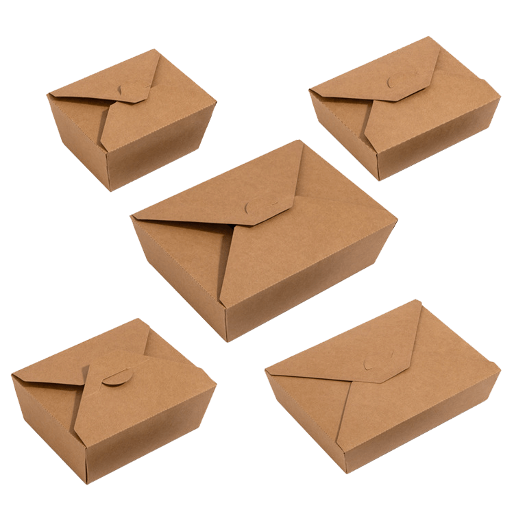 01-01-Kraft Paper Take Out Box-main
