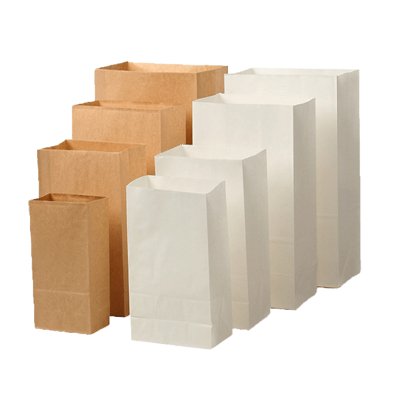 09-01-Paper Packaging Bags-main-003