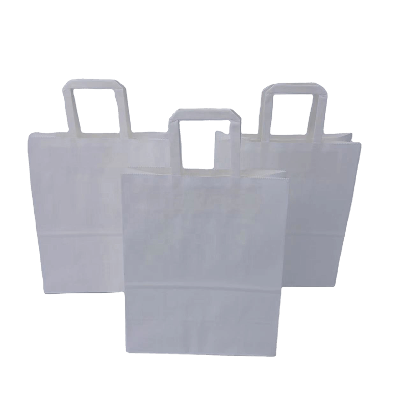 09-03-Flat Handle Paper Bags-04